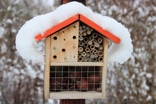 Blick auf ein Insektenhotel im Winter mit Schnee