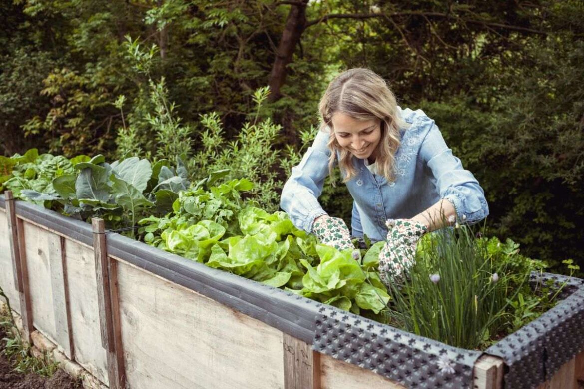 Naturnahes Gärtnern: So wichtig ist es für die Umwelt
